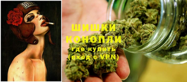 гидра Покровск