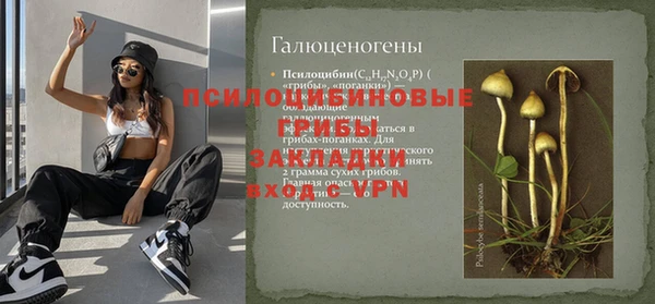 гидра Покровск